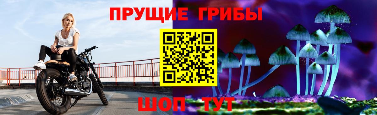 Псилоцибиновые грибы Magic Shrooms  Псилоцибиновые грибы мухоморы  Вход с VPN  Зеленокумск 